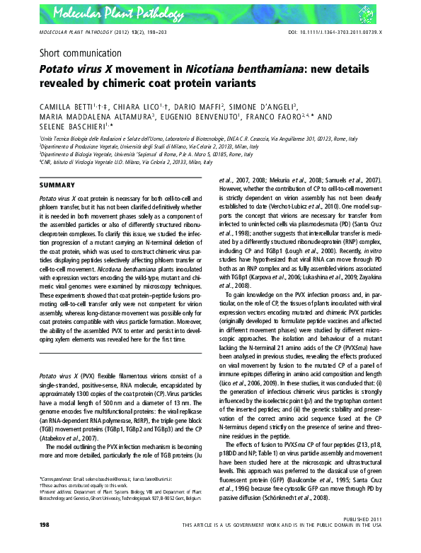 (PDF) Potato virus X movement in Nicotiana benthamiana new details