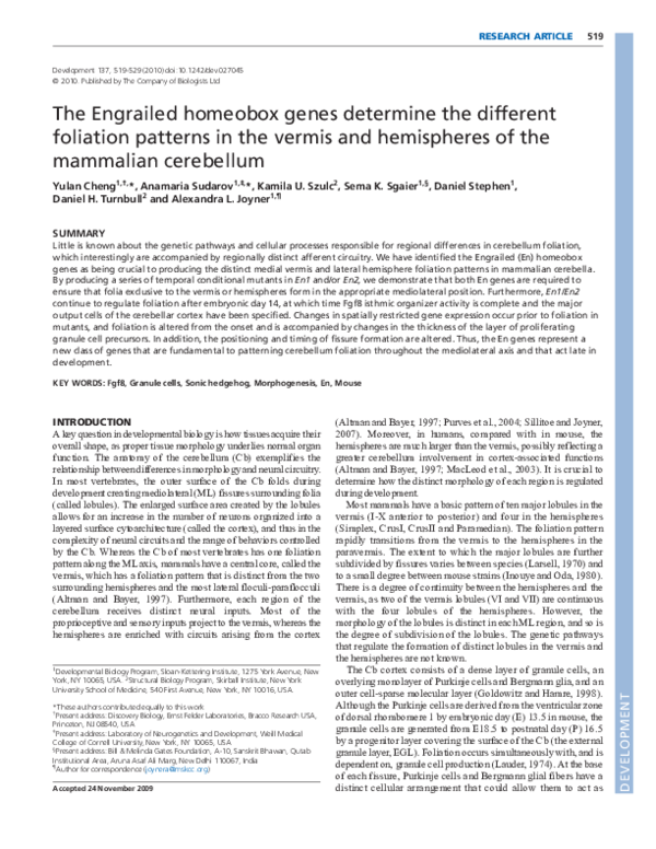 (PDF) The Engrailed homeobox genes determine the different foliation ...