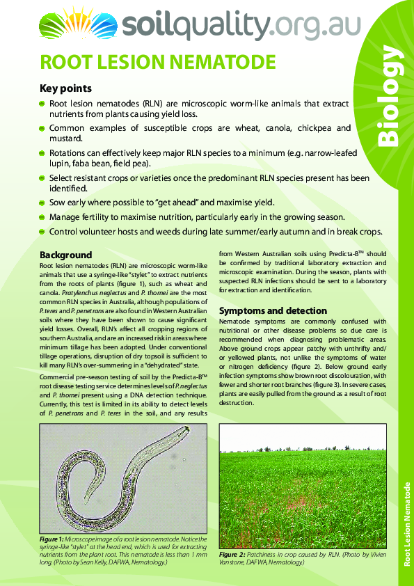 (PDF) Root lesion nematode