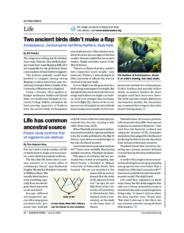 (PDF) Life Life has common ancestral source Protein study confirms