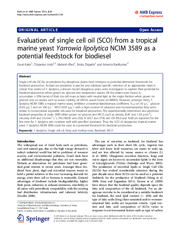 (PDF) Single Cell Oil from Yarrowia lipolytica for Biodiesel