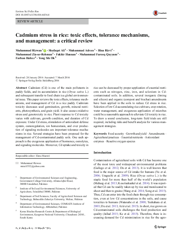 (PDF) Cadmium stress in rice toxic effects, tolerance mechanisms, and