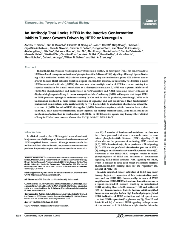 (PDF) An Antibody That Locks HER3 in the Inactive Conformation Inhibits ...