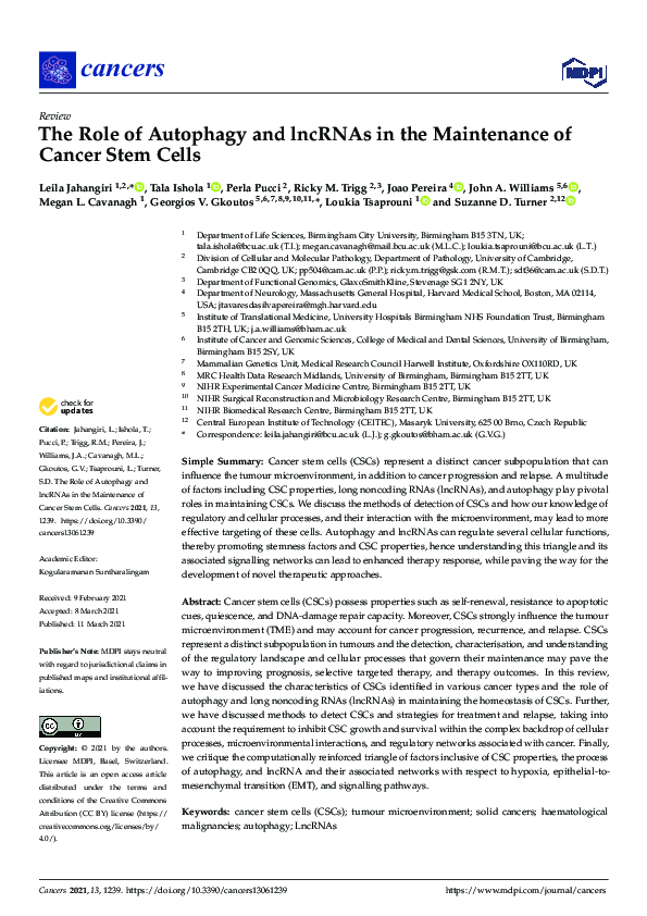(PDF) The Role of Autophagy and lncRNAs in the Maintenance of Cancer ...