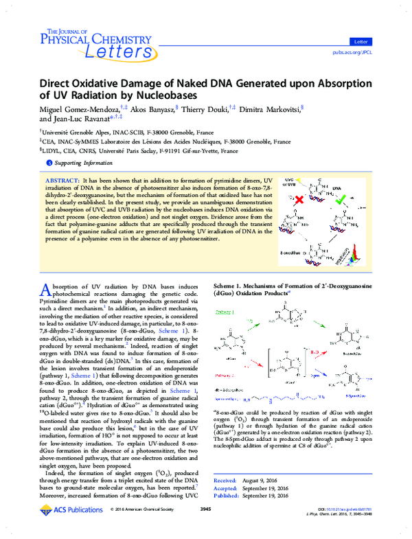 (PDF) Direct Oxidative Damage of Naked DNA Generated upon Absorption of ...
