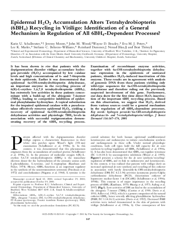 (PDF) Epidermal H2O2 Accumulation Alters Tetrahydrobiopterin (6BH4 ...