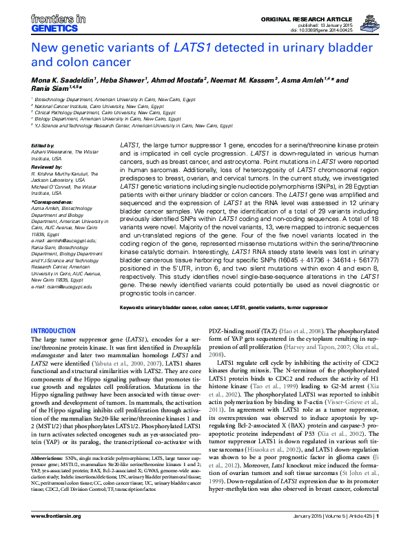 (PDF) New genetic variants of LATS1 detected in urinary bladder and ...