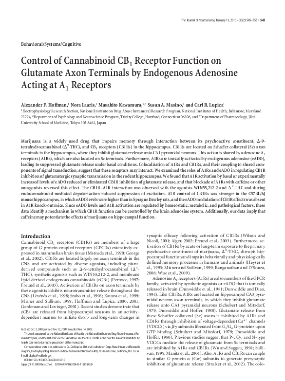 (PDF) Control of Cannabinoid CB1 Receptor Function on Glutamate Axon ...