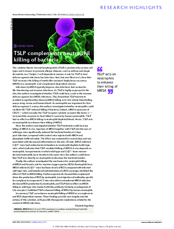 (PDF) Infection: TSLP complements neutrophil killing of bacteria