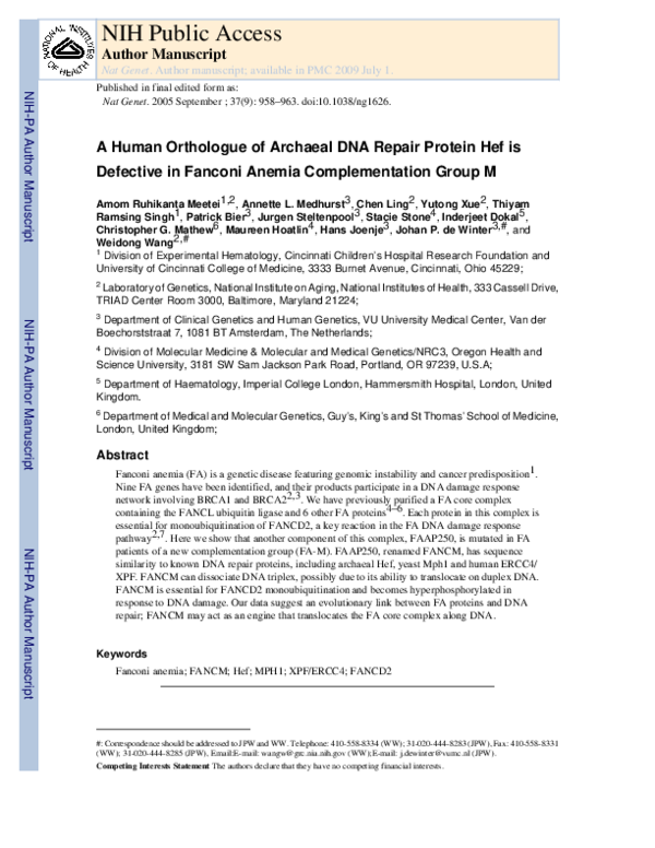 (PDF) A human ortholog of archaeal DNA repair protein Hef is defective ...