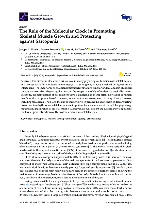 (PDF) The Role of the Molecular Clock in Promoting Skeletal Muscle ...