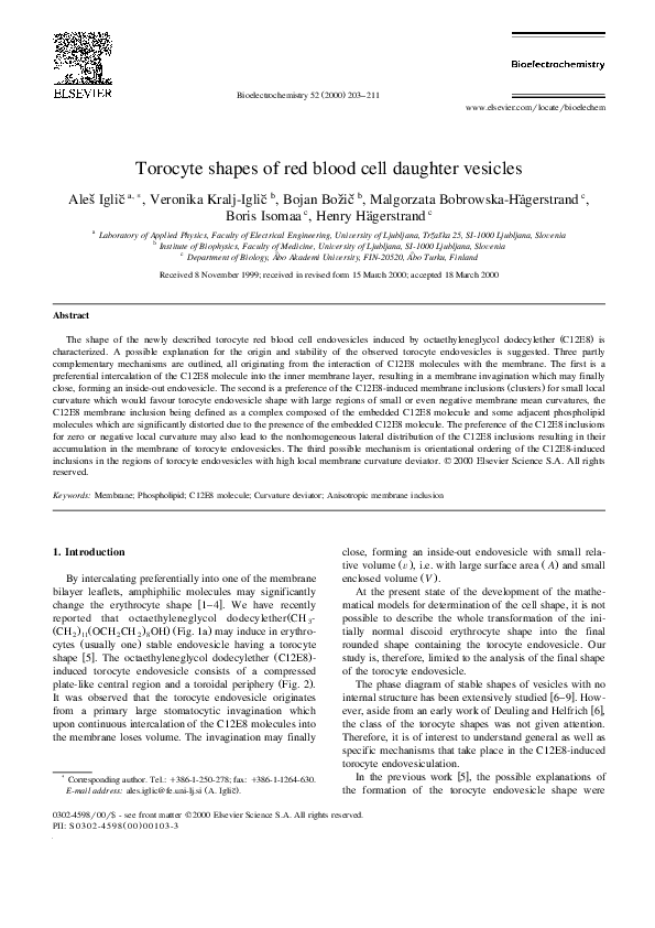 (PDF) Torocyte shapes of red blood cell daughter vesicles