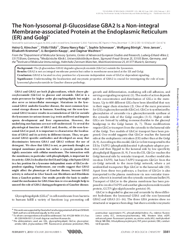 (PDF) The Non-lysosomal β-Glucosidase GBA2 Is a Non-integral Membrane ...