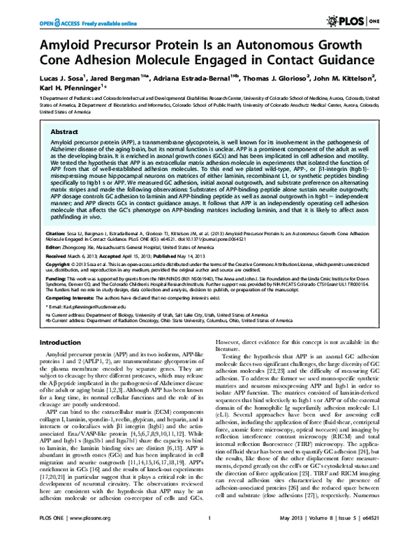 (PDF) Amyloid Precursor Protein Is an Autonomous Growth Cone Adhesion ...