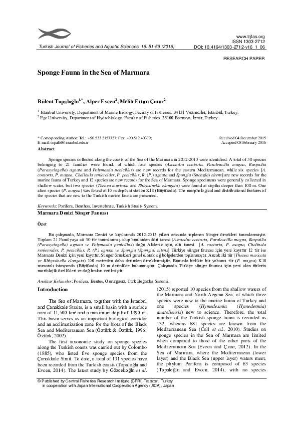 (PDF) Sponge Fauna in the Sea of Marmara Introduction