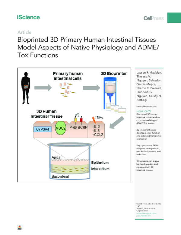 (PDF) Bioprinted 3D Primary Human Intestinal Tissues Model Aspects of ...