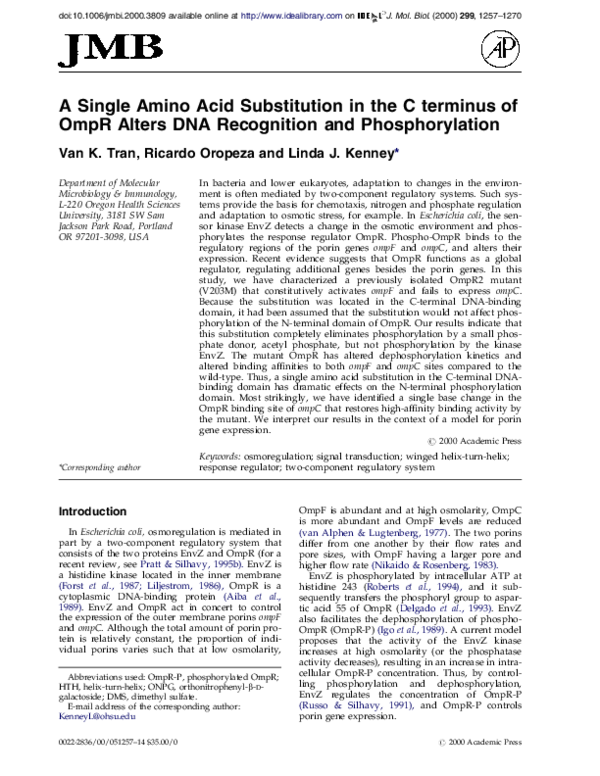 (PDF) A single amino acid substitution in the C terminus of OmpR alters ...