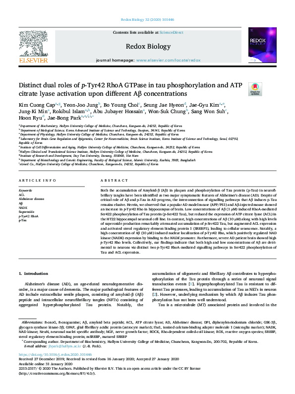 (PDF) Distinct dual roles of p-Tyr42 RhoA GTPase in tau phosphorylation ...