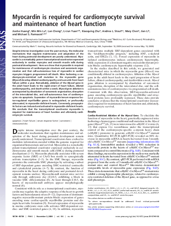 (PDF) Myocardin is required for cardiomyocyte survival and maintenance ...