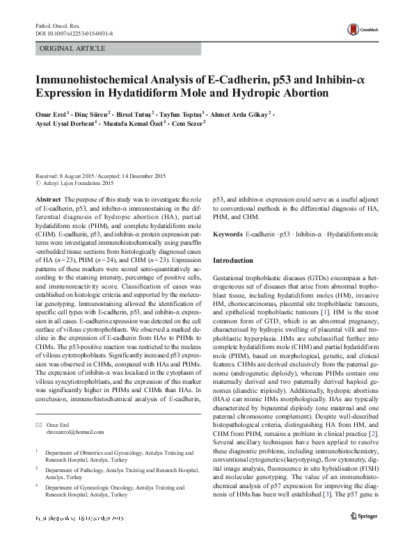 (PDF) Immunohistochemical Analysis of E-Cadherin, p53 and Inhibin-α ...