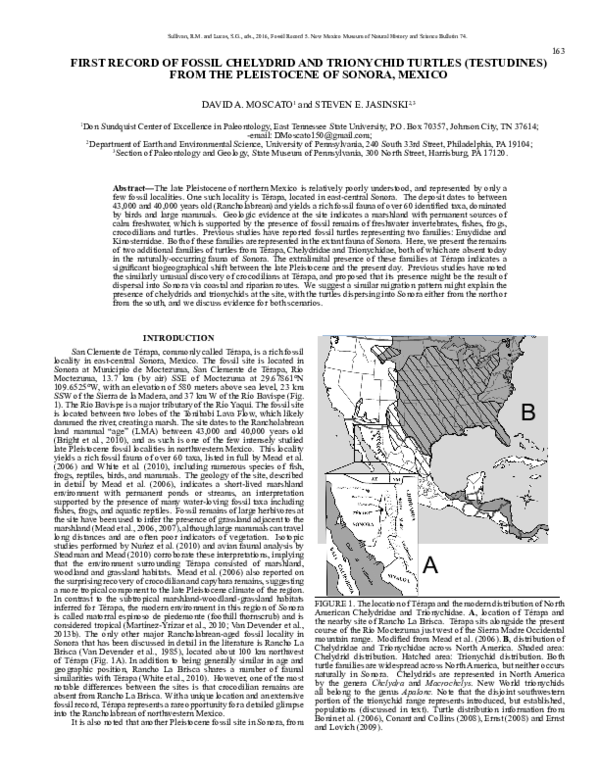 (PDF) First Record of Fossil Chelydrid and Trionychid Turtles ...