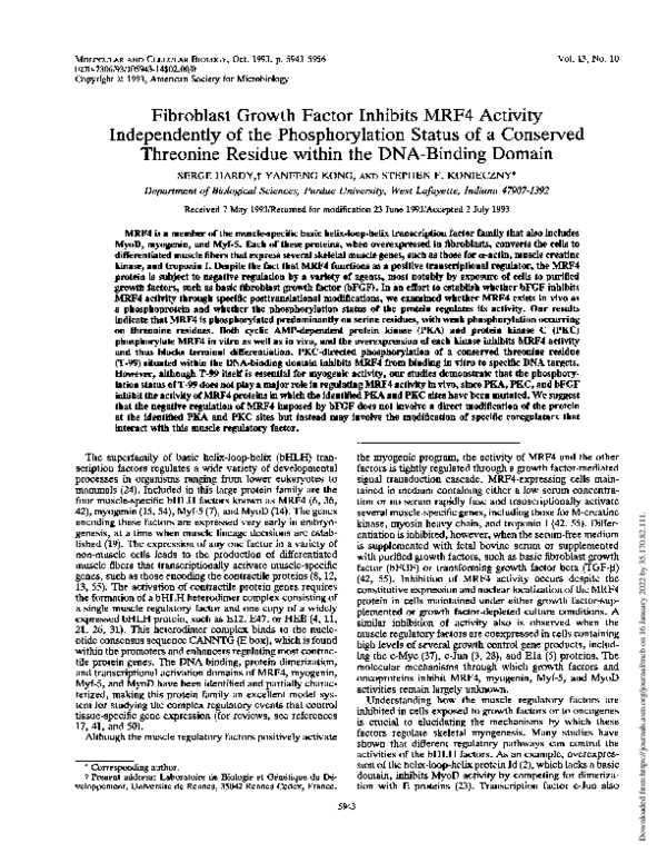 (PDF) Fibroblast growth factor inhibits MRF4 activity independently of ...
