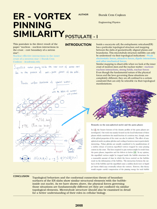 (PDF) Eukaryote cell structure and vortex pinning similarities | Burak ...