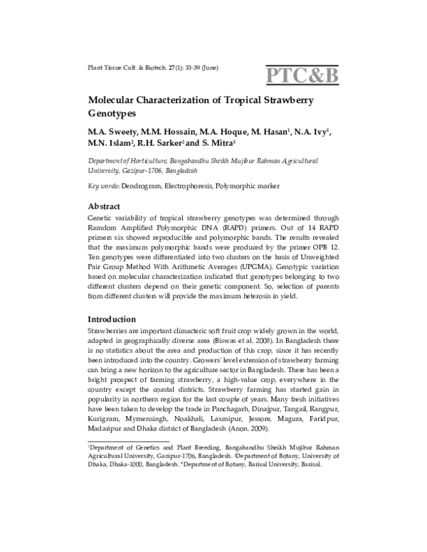 Pdf Molecular Characterization Of Tropical Strawberry Genotypes