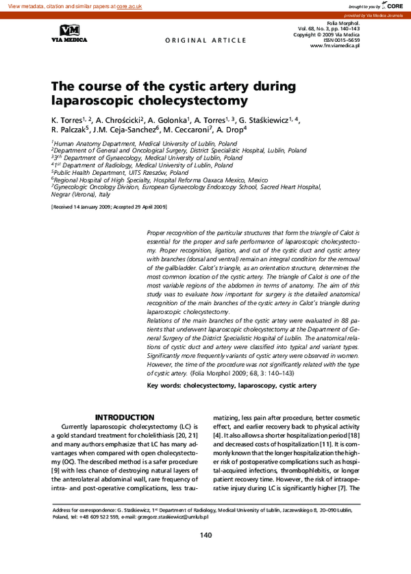 (PDF) The course of the cystic artery during laparoscopic cholecystectomy