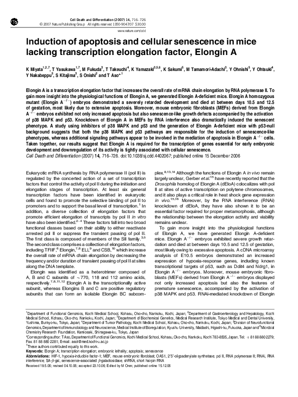 (PDF) Induction of apoptosis and cellular senescence in mice lacking ...