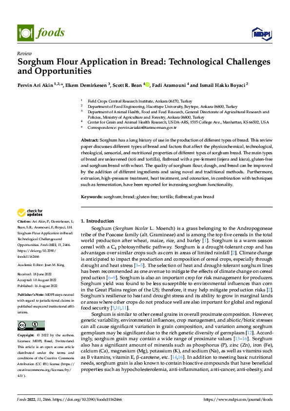 (PDF) Sorghum Flour Application in Bread: Technological Challenges and ...