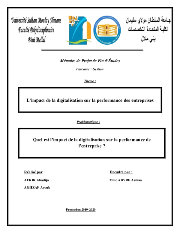 Pdf L Impact De La Digitalisation Sur La Performance De L Entreprise
