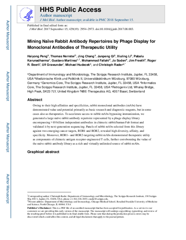 (PDF) Mining Naïve Rabbit Antibody Repertoires by Phage Display for ...
