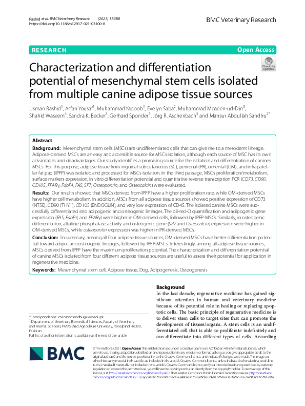 (PDF) Characterization and differentiation potential of mesenchymal ...