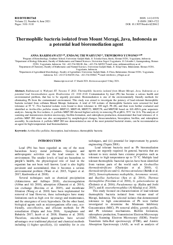 (PDF) Thermophilic bacteria isolated from Mount Merapi, Java, Indonesia ...