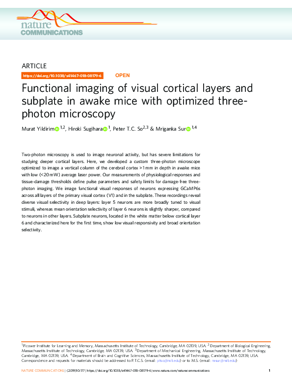 (PDF) Functional imaging of visual cortical layers and subplate in ...