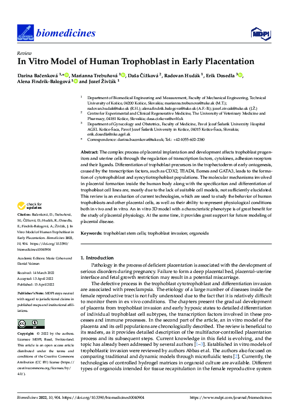 (PDF) In Vitro Model of Human Trophoblast in Early Placentation