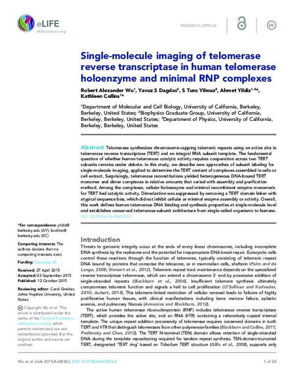 (PDF) Single-molecule imaging of telomerase reverse transcriptase in ...