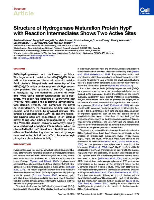 (PDF) Structure of Hydrogenase Maturation Protein HypF with Reaction ...