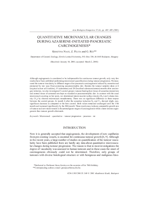Quantitative Microvascular Changes During Azaserine-Initiated Pancreatic Carcinogenesis