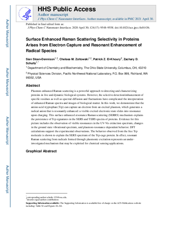 (PDF) Surface Enhanced Raman Scattering Selectivity in Proteins Arises ...