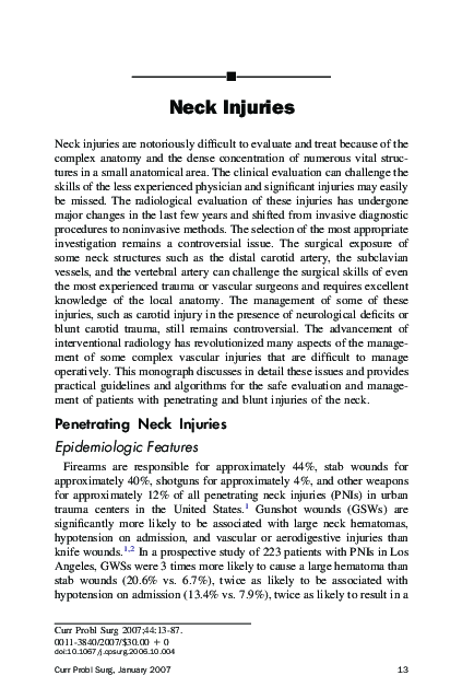 (PDF) Neck Injuries
