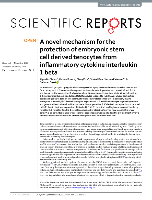 (PDF) A novel mechanism for the protection of embryonic stem cell ...