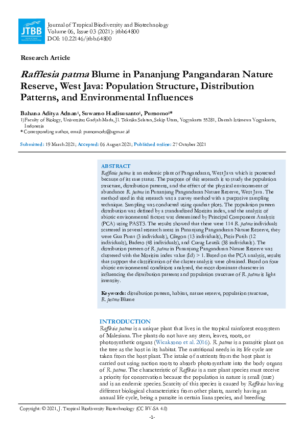 (PDF) Rafflesia patma Blume in Pananjung Pangandaran Nature Reserve ...