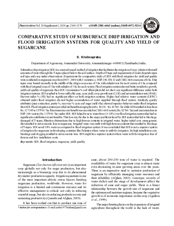 (PDF) Comparative Study of Subsurface Drip Irrigation and Flood ...