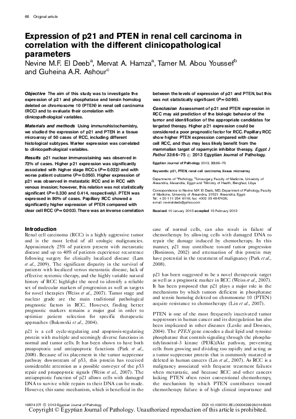 (PDF) Expression of p21 and PTEN in renal cell carcinoma in correlation ...