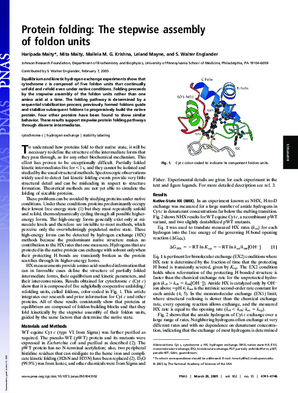 (PDF) Protein folding: The stepwise assembly of foldon units