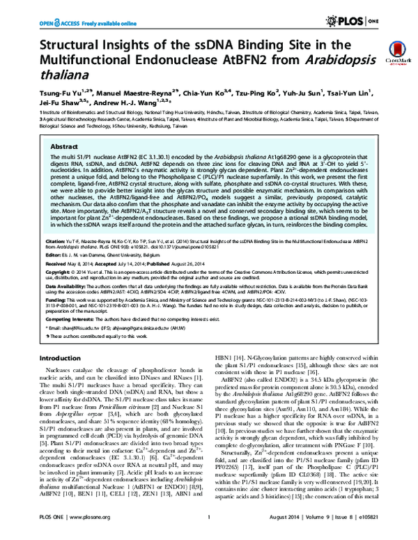 (PDF) Structural Insights of the ssDNA Binding Site in the ...