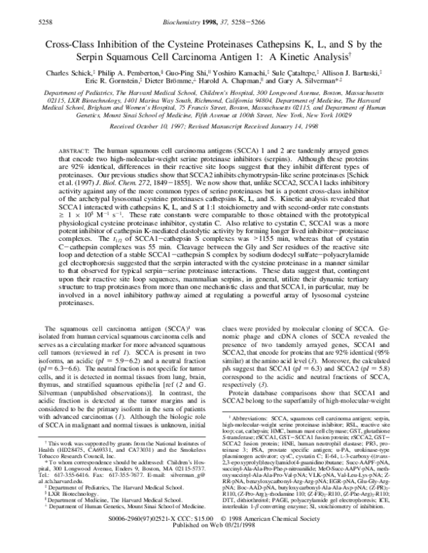 (PDF) Cross-Class Inhibition of the Cysteine Proteinases Cathepsins K ...