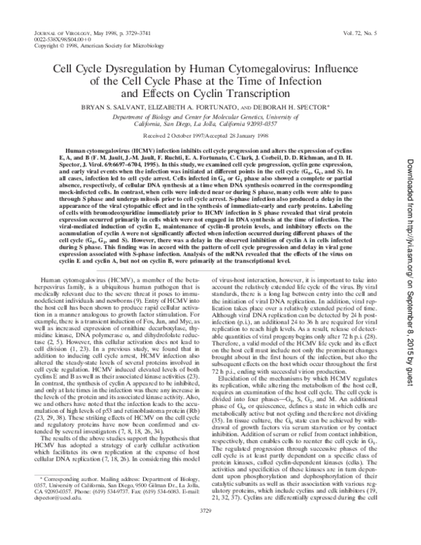(PDF) Cell Cycle Dysregulation by Human Cytomegalovirus: Influence of ...